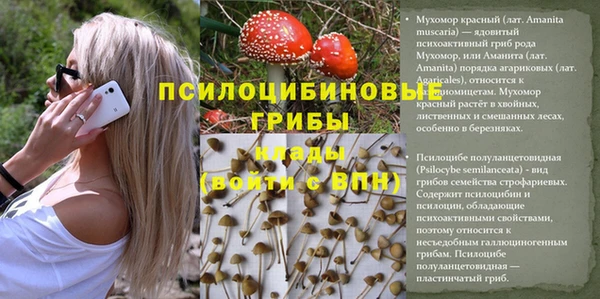 скорость Весьегонск