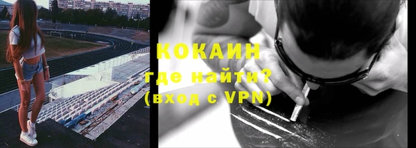 прущий лед Алзамай