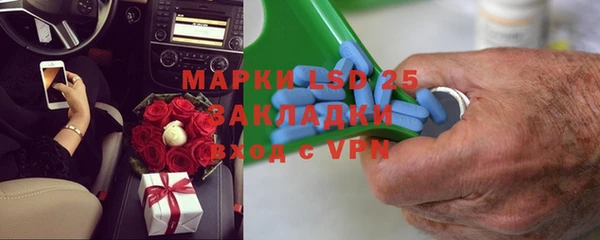 прущий лед Алзамай