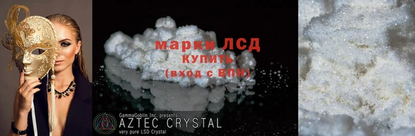 прущий лед Алзамай