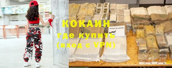 прущий лед Алзамай