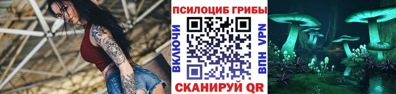 Галлюциногенные грибы Psilocybe  купить наркотики сайты  Тобольск 