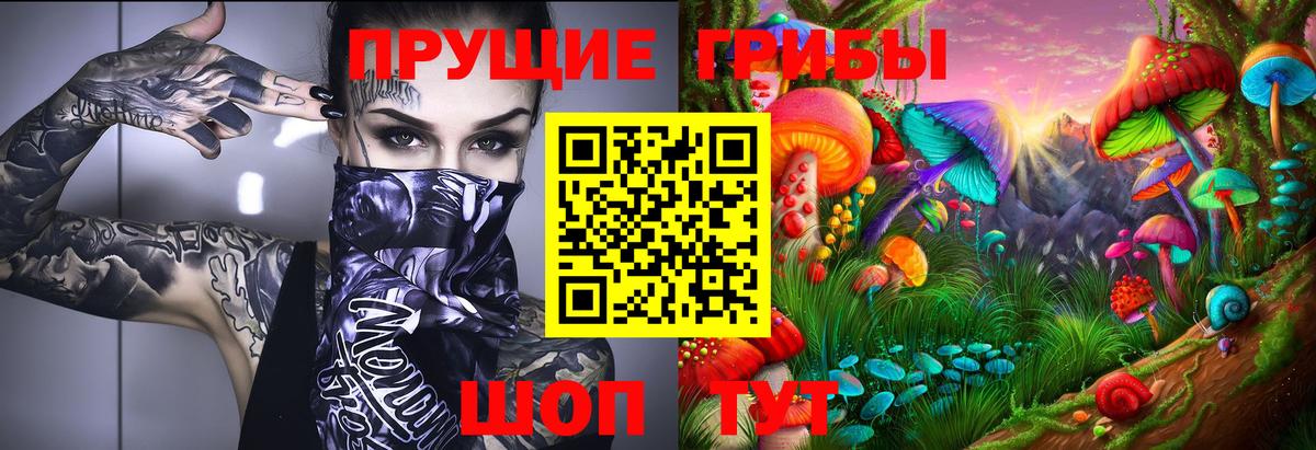 Тобольск  Галлюциногенные грибы мицелий  Вход с VPN 